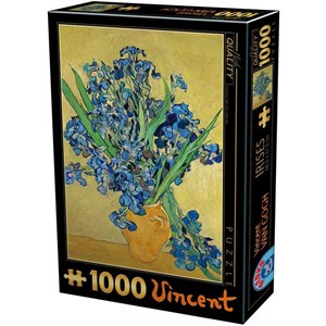 D-Toys (75888) - Vincent van Gogh: "Vincent Van Gogh" - 1000 pieces puzzle