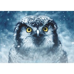 Deico (75727) - "Owl" - 1000 pieces puzzle