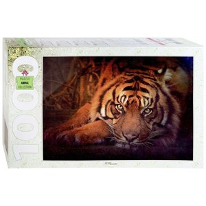 Step Puzzle (79142) - "Siberian tiger" - 1000 pieces puzzle