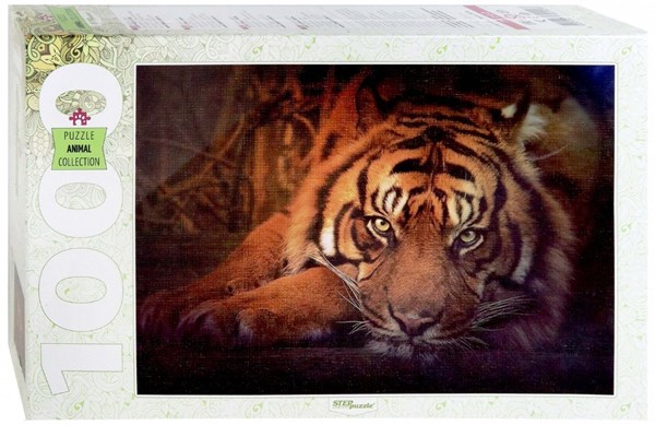 Step Puzzle (79142) - "Siberian tiger" - 1000 pieces puzzle