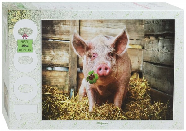 Step Puzzle (79199) - "Year 2019 in China" - 1000 pieces puzzle