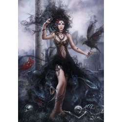 Grafika (00994) - Cris Ortega: "Shadowness" - 1000 pieces puzzle