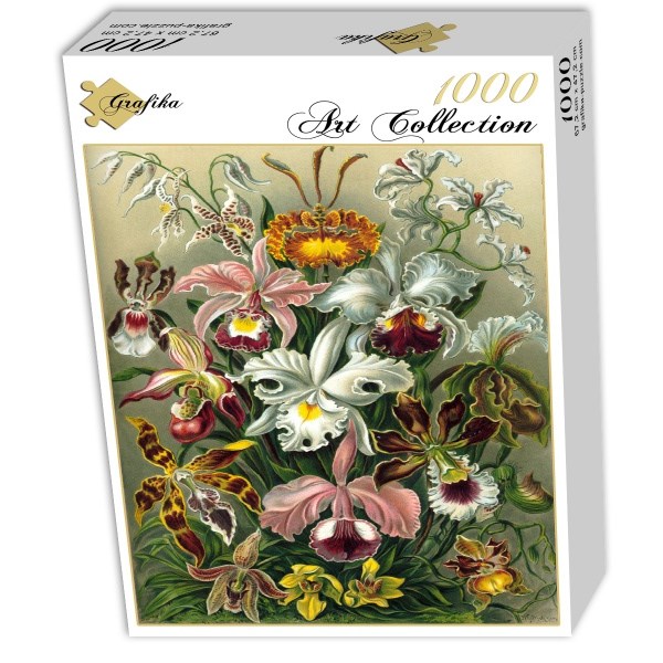 Grafika (00617) - Ernst Haeckel: "Kunstformen der Natur, Orchidae, 1904" - 1000 pieces puzzle