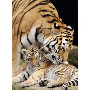 Nathan (87234) - "Moment of Tenderness" - 500 pieces puzzle