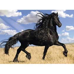 Nathan (87223) - "Horse" - 500 pieces puzzle