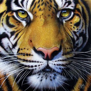 SunsOut (58628) - JQ Licensing: "Golden Tiger Face" - 1000 pieces puzzle