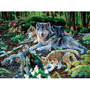 SunsOut (60506) - Jan Martin McGuire: "Forest Wolf Family" - 500 pieces puzzle