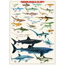Eurographics (6000-0264) - "Dangerous Sharks of the World" - 1000 pieces puzzle