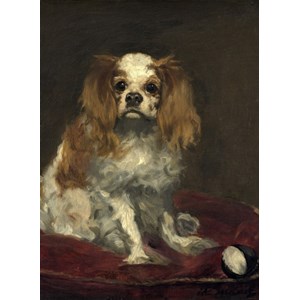 Grafika (01708) - Edouard Manet: "A King Charles Spaniel, 1866" - 300 pieces puzzle