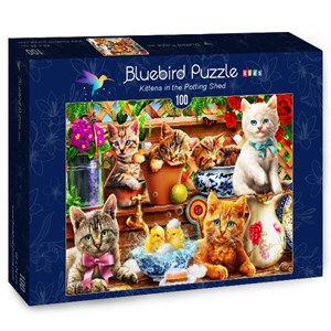 Bluebird Puzzle (70400) - Adrian Chesterman: "Kittens in the Potting Shed" - 100 pieces puzzle