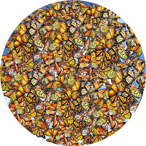 SunsOut (35047) - Lori Schory: "Monarch Frenzy" - 1000 pieces puzzle