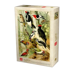 Deico (75994) - "Encyclopedia" - 1000 pieces puzzle