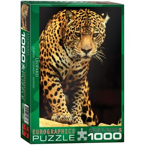 Eurographics (6000-1163) - "Leopard" - 1000 pieces puzzle