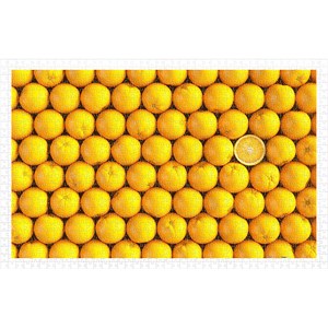 Pintoo (h1992) - "Fruits, Orange" - 1000 pieces puzzle