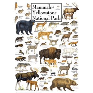 MasterPieces (71974) - "Mammals of Yellowstone National Park" - 1000 pieces puzzle