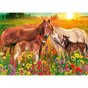 Jumbo (18851) - "Horses in the Meadow" - 500 pieces puzzle