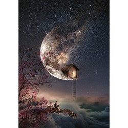 Schmidt Spiele (59904) - Natacha Einat: "Dream Whisper" - 1000 pieces puzzle