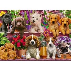 Schmidt Spiele (58973) - "Dogs on a Shelf" - 500 pieces puzzle