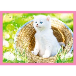 Trefl (34330) - "Kittens" - 35 48 54 70 pieces puzzle