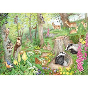 Falcon (11322) - Anne Searle: "Woodland Wildlife" - 1000 pieces puzzle