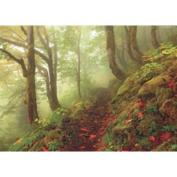 Heye (29519) - "Path" - 1000 pieces puzzle