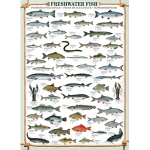 Eurographics (6000-0312) - "Freshwater Fish" - 1000 pieces puzzle