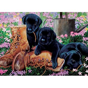 Cobble Hill (58851) - "Black Lab Puppies" - 35 pieces puzzle