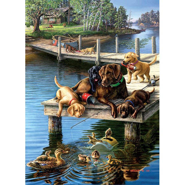 SunsOut (28497) - James Meger: "Summer School" - 500 pieces puzzle