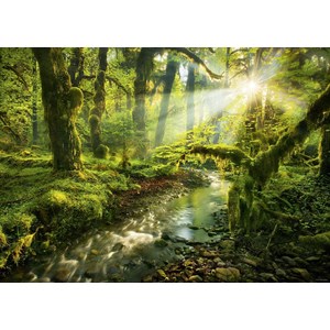 Heye (29771) - "Spirit Garden" - 1000 pieces puzzle