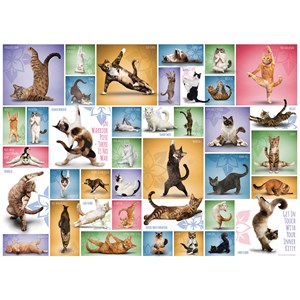 Eurographics (6000-0953) - "Yoga Cats" - 1000 pieces puzzle
