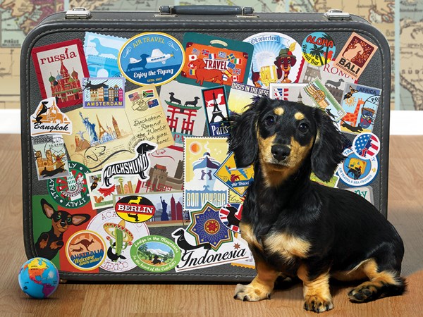 Cobble Hill (52107) - "Dachshund 'Round the World" - 500 pieces puzzle