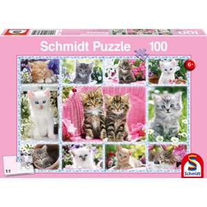 Schmidt Spiele (56135) - "Kittens" - 100 pieces puzzle