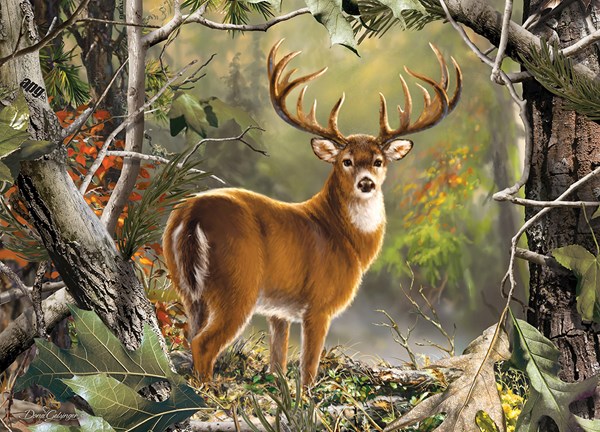 MasterPieces (71751) - Dona Gelsinger: "Backcountry Buck" - 1000 pieces puzzle