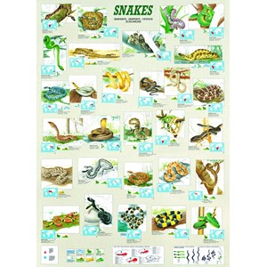 Eurographics (6000-2610) - "Snakes" - 1000 pieces puzzle