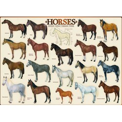 Eurographics (6000-0078) - "Horses" - 1000 pieces puzzle