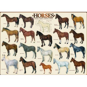 Eurographics (6000-0078) - "Horses" - 1000 pieces puzzle