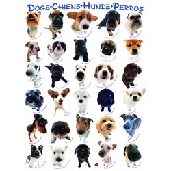 Eurographics (6000-1510) - "Dog Breeds" - 1000 pieces puzzle
