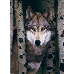 Eurographics (6000-1244) - "Gray Wolf" - 1000 pieces puzzle