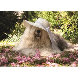 Jumbo (18530) - "Sophie in a Bed of Flowers" - 500 pieces puzzle