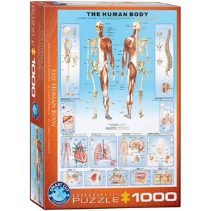 Eurographics (6000-1000) - "The Human Body" - 1000 pieces puzzle