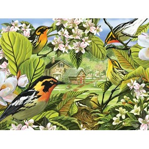 Cobble Hill (52037) - "Blackburnian Warblers" - 500 pieces puzzle