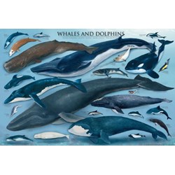 Eurographics (6000-0082) - "Whales & Dolphins" - 1000 pieces puzzle