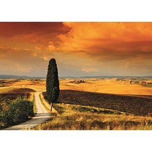 Jumbo (18362) - "Tuscan Sunset" - 1000 pieces puzzle