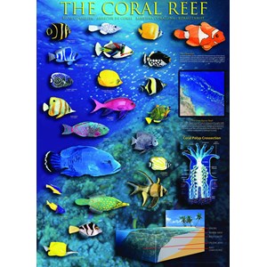 Eurographics (6000-1170) - "The Coral Reef" - 1000 pieces puzzle