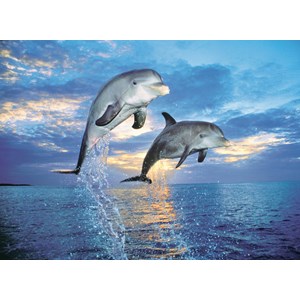 Clementoni (30139) - "Dolphin" - 500 pieces puzzle
