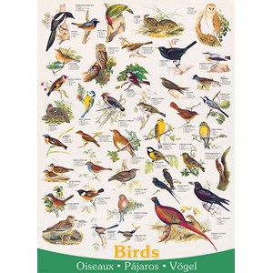 Eurographics (6000-1259) - "Birds" - 1000 pieces puzzle