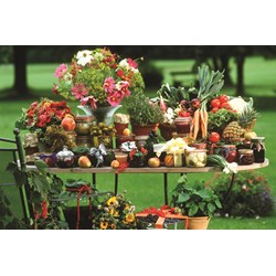 Jumbo (18582) - "Fruit and Vegetables" - 1500 pieces puzzle