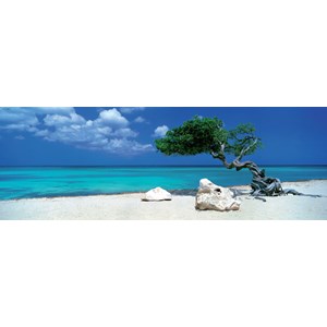 Heye (29399) - Alexander von Humboldt: "Divi Divi Tree" - 1000 pieces puzzle