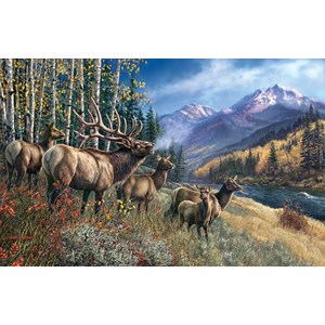 SunsOut (28448) - James Meger: "Elk Anthem" - 1000 pieces puzzle