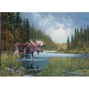 Cobble Hill (51841) - Douglas Laird: "Moose Lake" - 1000 pieces puzzle